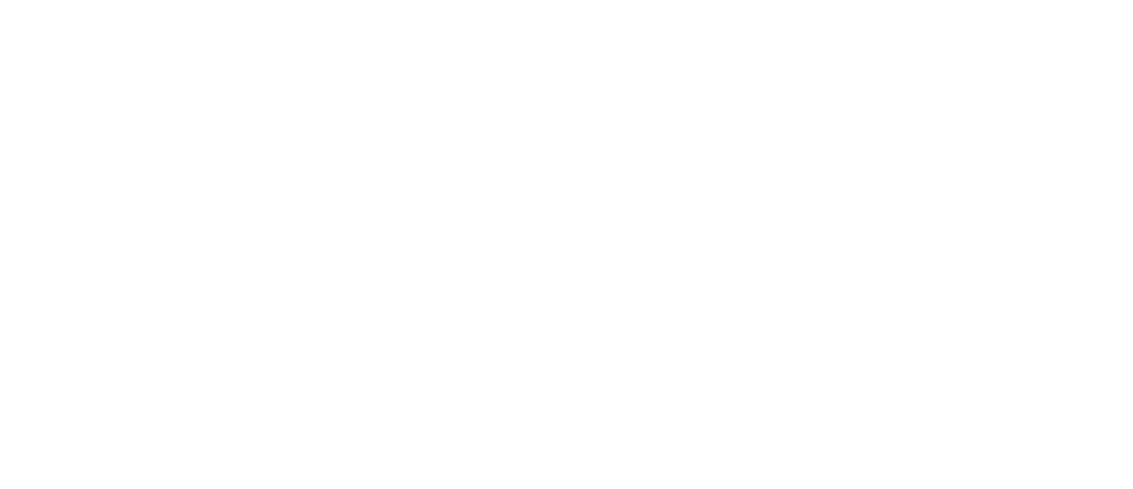 Flare Virtual Project